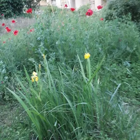 1er étage Climatisé Entier 90m2 Appartement *