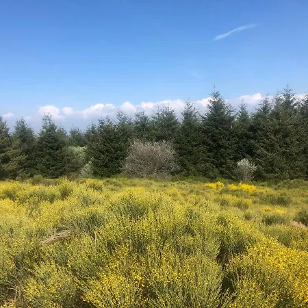 1er étage Climatisé Entier 90m2 *
