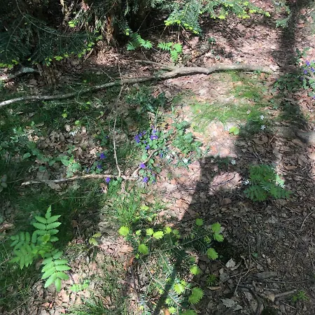 1er étage Climatisé Entier 90m2 Condrieu