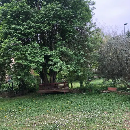 1er étage Climatisé Entier 90m2 * Condrieu