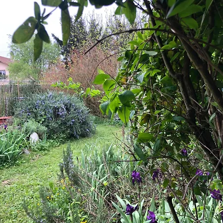 1er étage Climatisé Entier 90m2 Appartement Condrieu