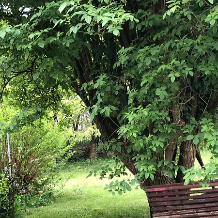 1er étage Climatisé Entier 90m2 * Condrieu